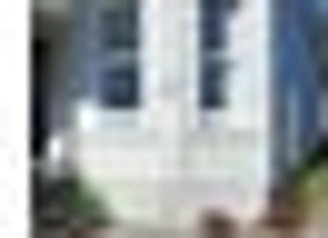Mount Eden, 6+ bedrooms, $300 pw