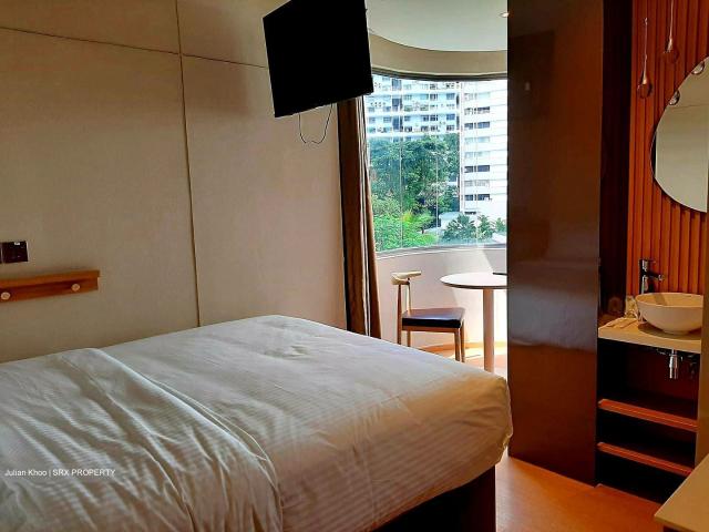 Mount Elizabeth Link D9, Apartment