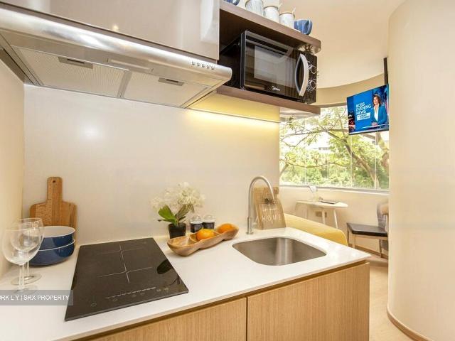 Mount Elizabeth Link D9, Apartment