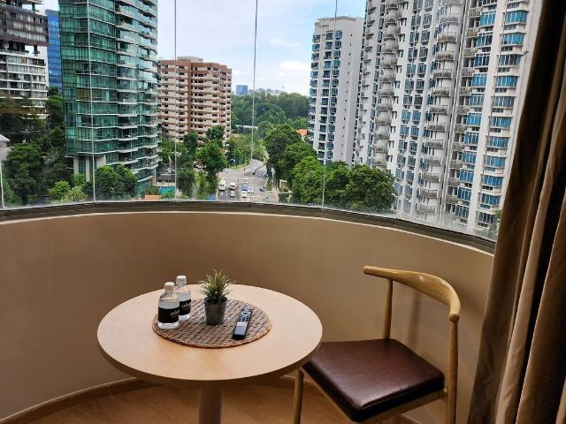 Mount Elizabeth Link D9, Apartment