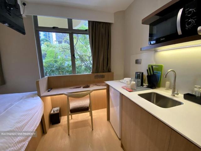 Mount Elizabeth Link D9, Condominium