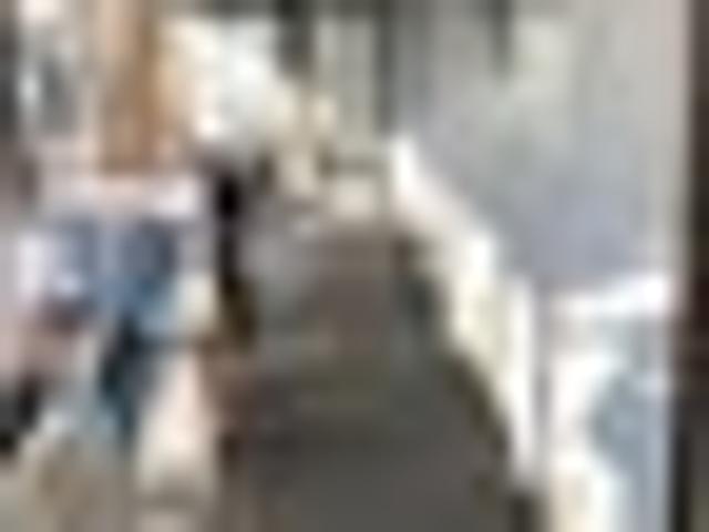 Mount Maunganui, 3 bedrooms, $750 pw
