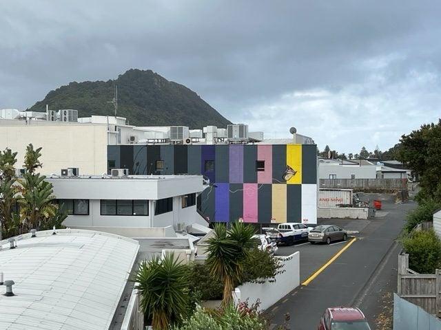 mount maunganui, 3 bedrooms