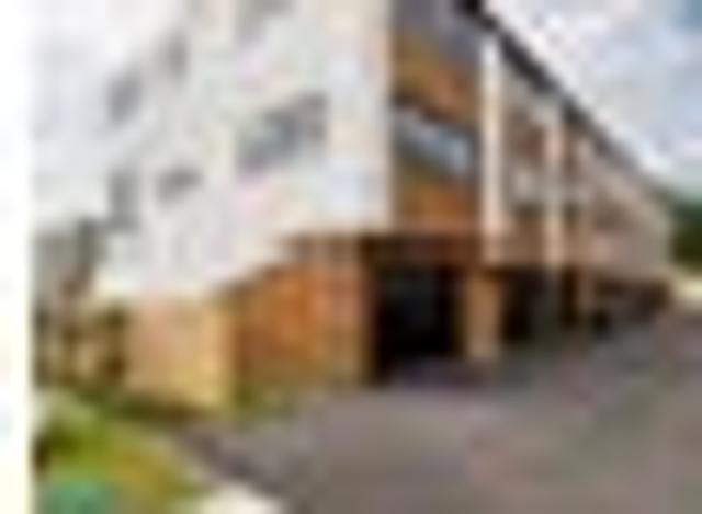 Mount Maunganui, 3 bedrooms, $870 pw