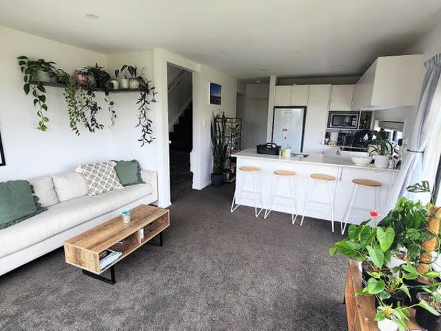 mount maunganui, 3 bedrooms