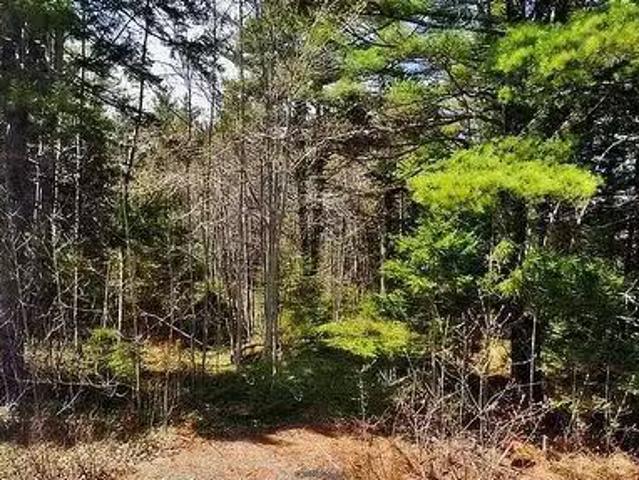 Mount Pleasant Road, West Lahave, NS, B0R 1G0 vacant land fo.
