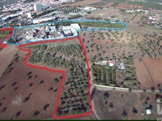 Moura Beja 96744972
