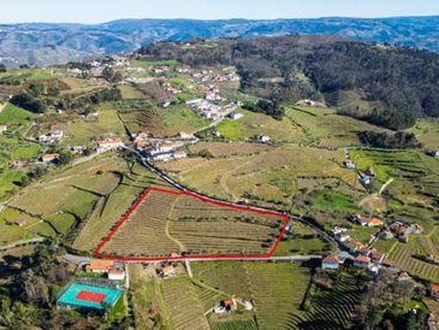 Moura Morta e Vinhós VILA REAL LS98475805