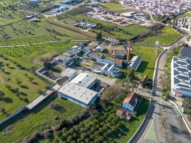 Moura Moura 102000786
