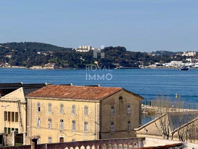 MOURILLON LA MITRE