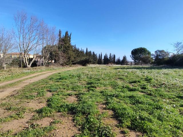Moussan Vente Terrain 11