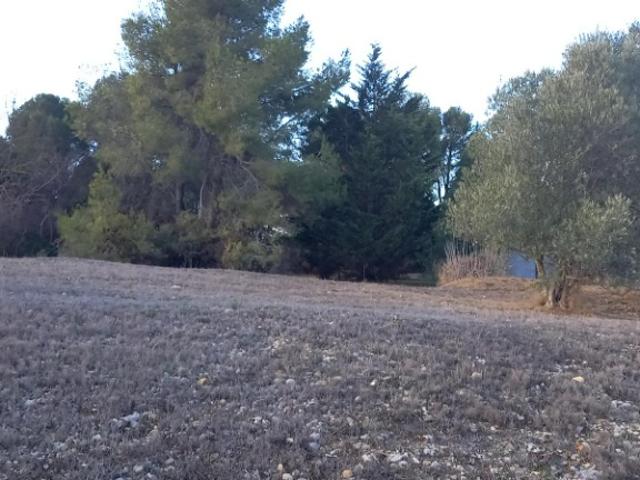Moussan Vente Terrain 11