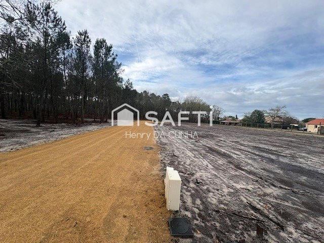 Moustey Vente Terrain 40