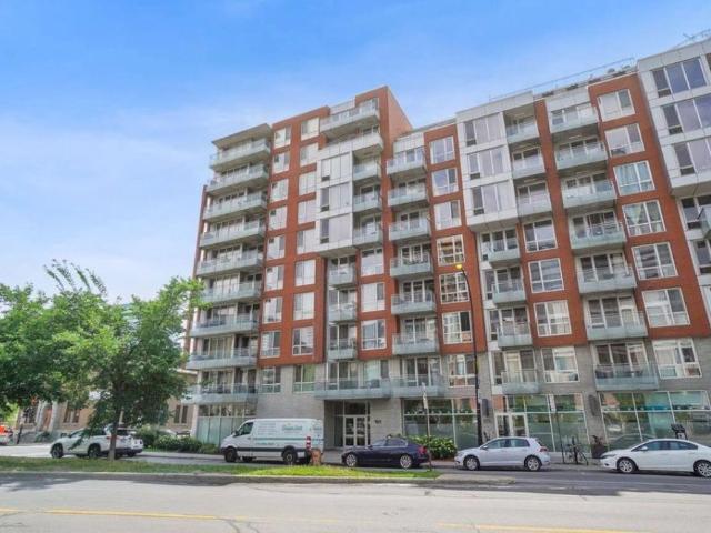 Move In Ready: Fully Furnished Modern Condo