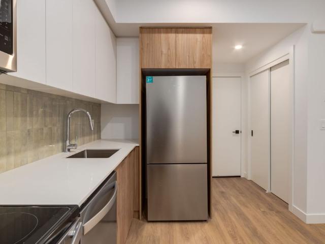 Move In Special! Cozy Lower 1 Bedroom Suite in Richmond