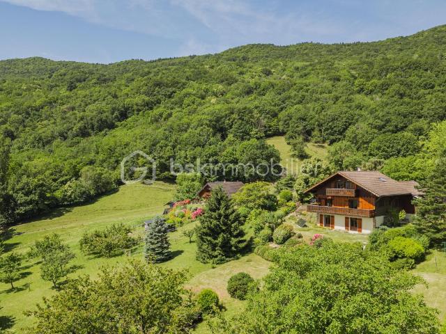 Moye Vente Chalet 74