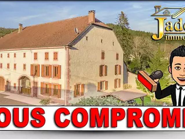 Moyenmoutier 88420 Achat / Vente maison 5 pièces t5