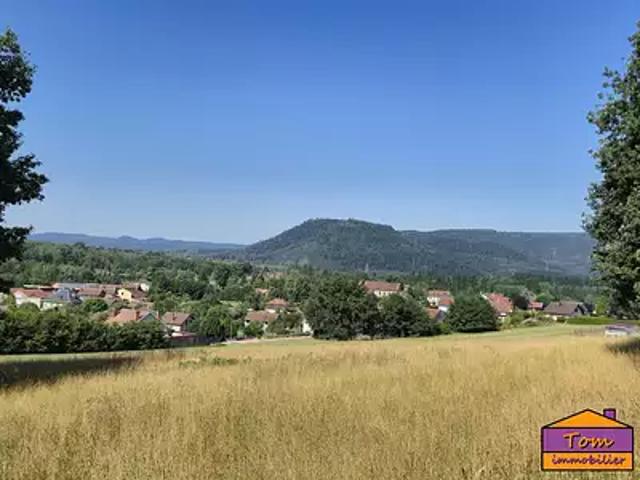 Moyenmoutier 88420 Achat / Vente terrain