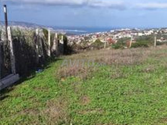 منطقة الشجيرات طنجة البالية