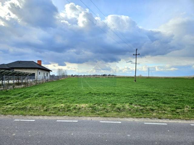 Mstowska 2 400 m², Kuchary