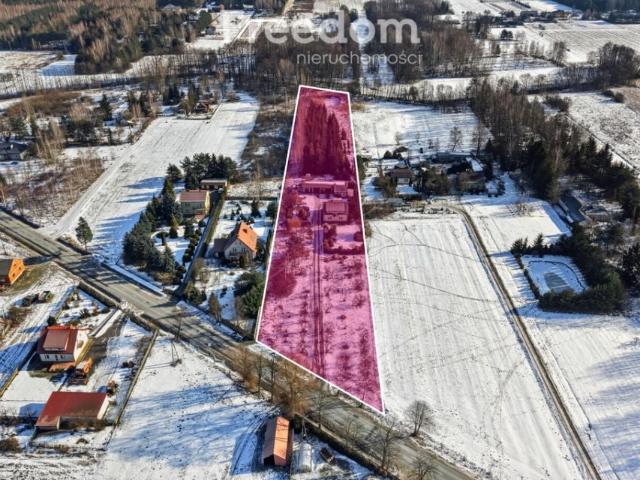 Mszczonowska 10 100 m², Skuły