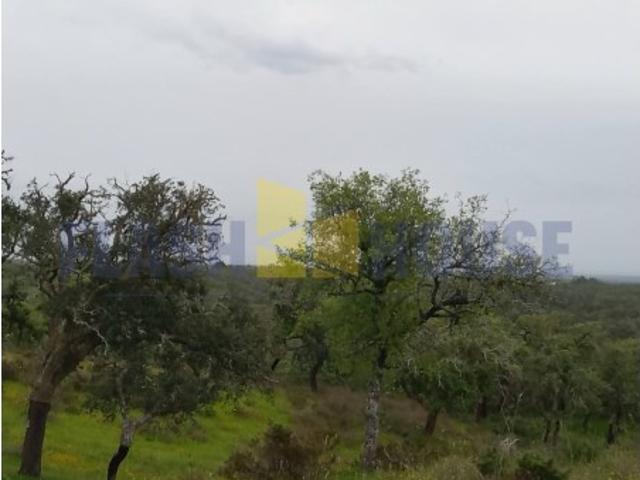 MPNL5011 Terreno para construção