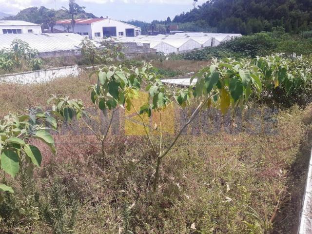 MPDL5041 Terreno p/ Construir a Casa dos Sonhos em São Roque