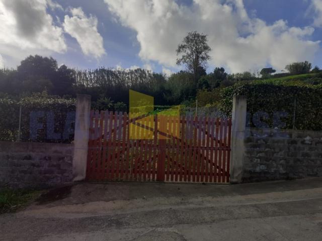 MPDL5053 Terreno Rústico Quinta Murado com Árvores de Fruto em Ribeira Chã