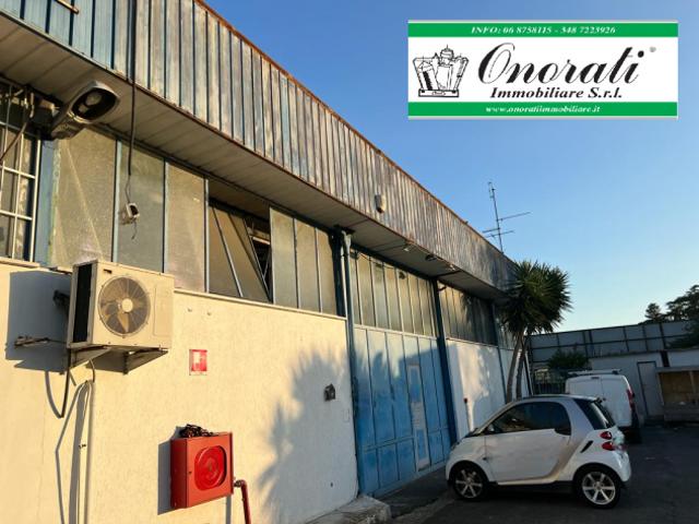 MQ 227 ROMA, TORRE ANGELA FRONTE GRA RIF.V 468
