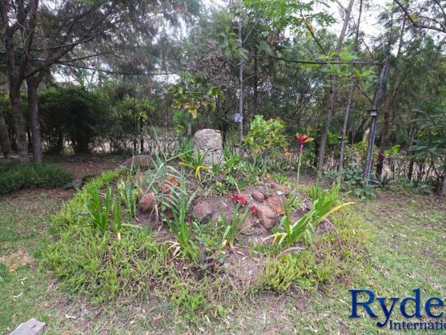MT. kenya facing 7 cottage eco lodge for sale, in naromoru on nanyuki nyeri highway. For sale