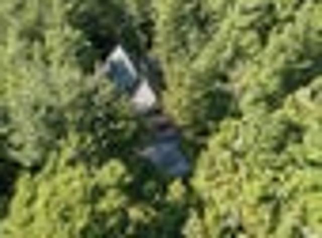 Mt Lyford Log Home