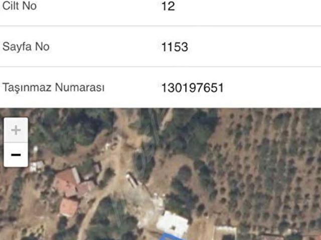 Muğla Ula Ataköyde Satılık 1003 m2 Villalık Arsa KOMİSYON YOK