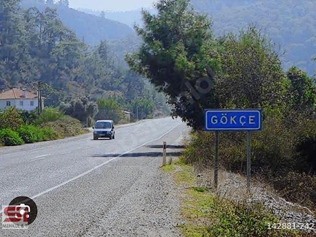 Muğla Ula Gökçe Köyü Fırsat Narenciye Bahçesi