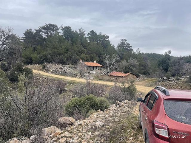 Muğla Ula Gölcük de 1.180 m2.müstakil tarla satılık
