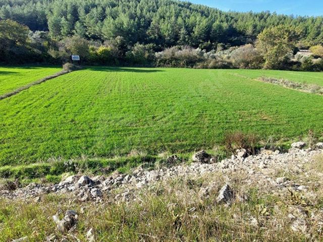 muğla ula köprübaşında 1613.m2 yatırıma uygun tarla