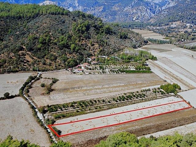 MUĞLA ULA ÇITLIK MH.ÇAYDERE MEVKİİDE 4076 M2 YOLA CEPHELİ TARLA