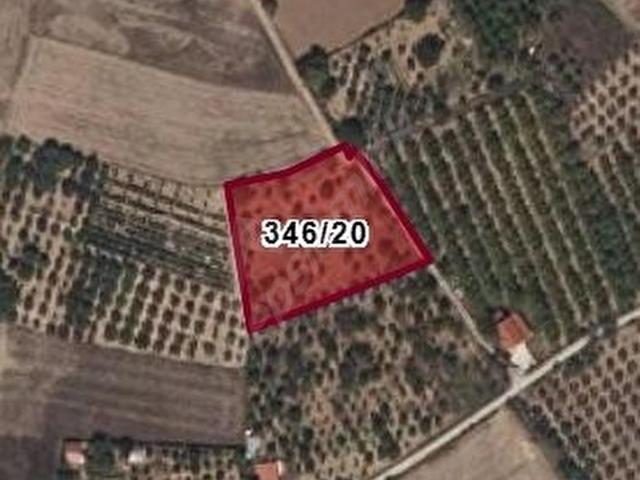 Muğla Ula'da Doğanın İçinde Fırsat Arazi