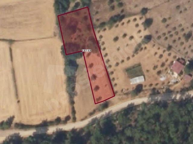 MUĞLA YARAŞ'DA DENİZLİ ANA YOLUNA YAKIN 1687 M2 SATILIK TARLA