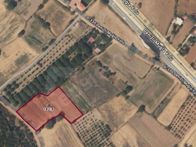 MUĞLA YARAŞ'DA DENİZLİ ANA YOLUNA YAKIN 4194 M2 SATILIK TARLA