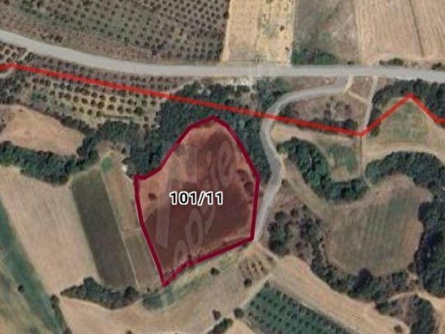 MUĞLA BAYIR AKGEDİK MAHALLESİ'NDE SATILIK 7574 METREKARE TARLA