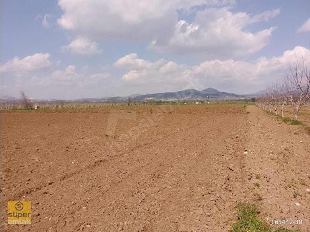 MUĞLA YATAĞAN BAHÇEYAKA MAHALLESİ 3.989 m2 SATILIK TARLA