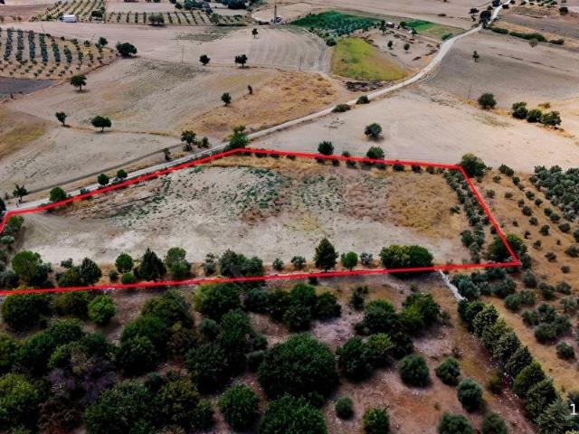 MUĞLA YATAĞAN BOZARMUT MAHALLESİ 8355 M2 SATILIK TARLA