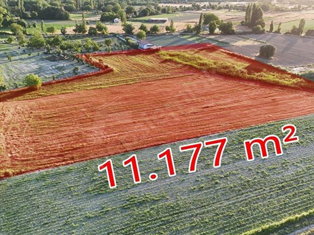 MUĞLA YATAĞAN BOZÜYÜK MAHALLESİNDE SATILIK 11.177,34 m VERİMLİ TARLA