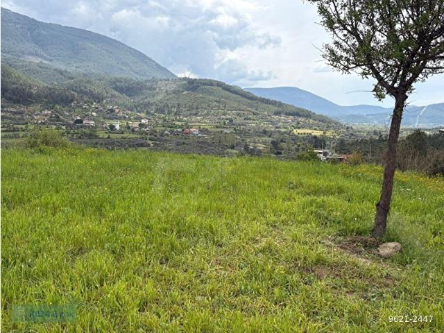 MUĞLA YATAĞAN DA SATILIK TARLA