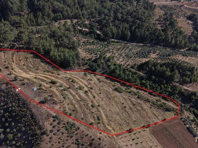 MUĞLA YATAĞAN DEŞTİN MAHALLESİ 20.892 M2 SATILIK TARLA