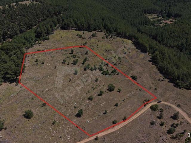 MUĞLA YATAĞAN DEŞTİN MAHALLESİ 20.996 M2 SATILIK TARLA