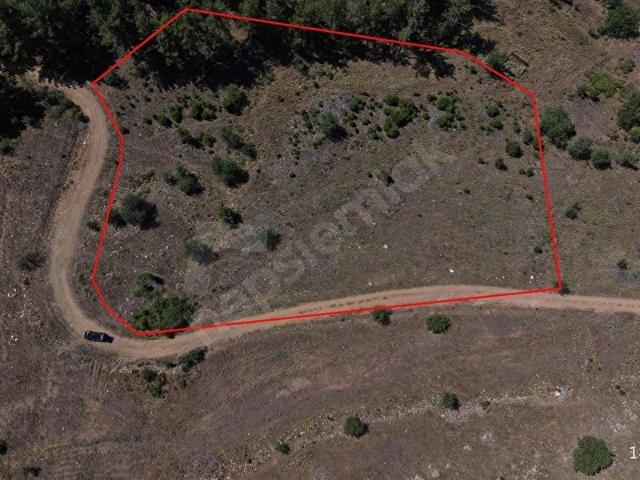 MUĞLA YATAĞAN DEŞTİN MAHALLESİ 5464 M2 SATILIK TARLA