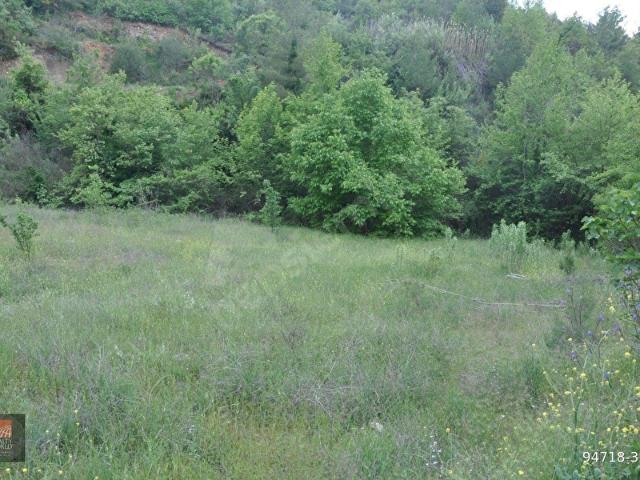 Muğla Yatağan Şeref'de 15.537 m2 Arazi