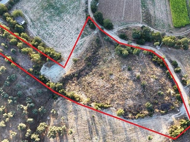 MUĞLA YATAĞAN HACIBAYRAMLAR MAH YOLA SIFIR 6442 M SATILIK TARLA