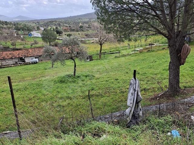 MUĞLA YATAĞAN SATILIK TARAL BAHCE